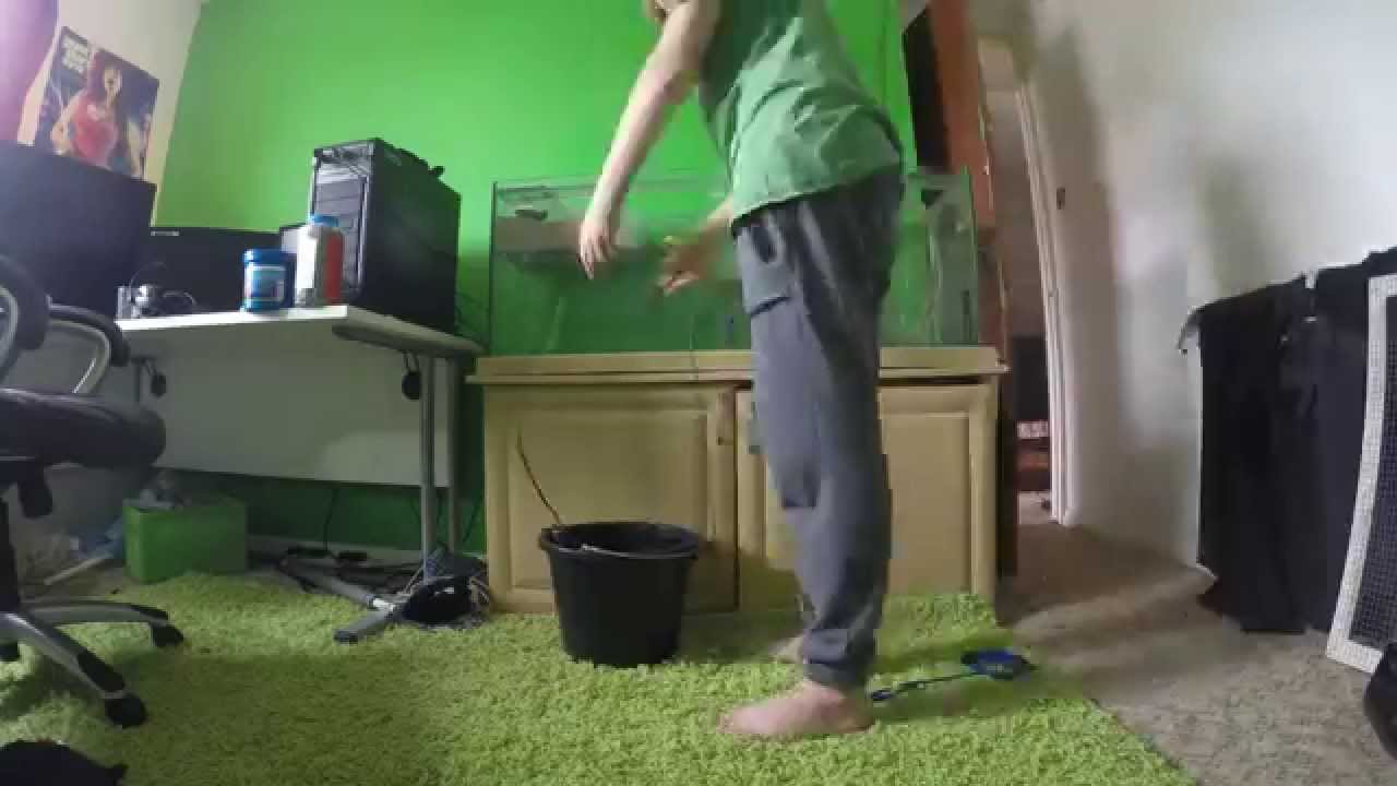 Cleaning my turtle tank| GoPro time lapse