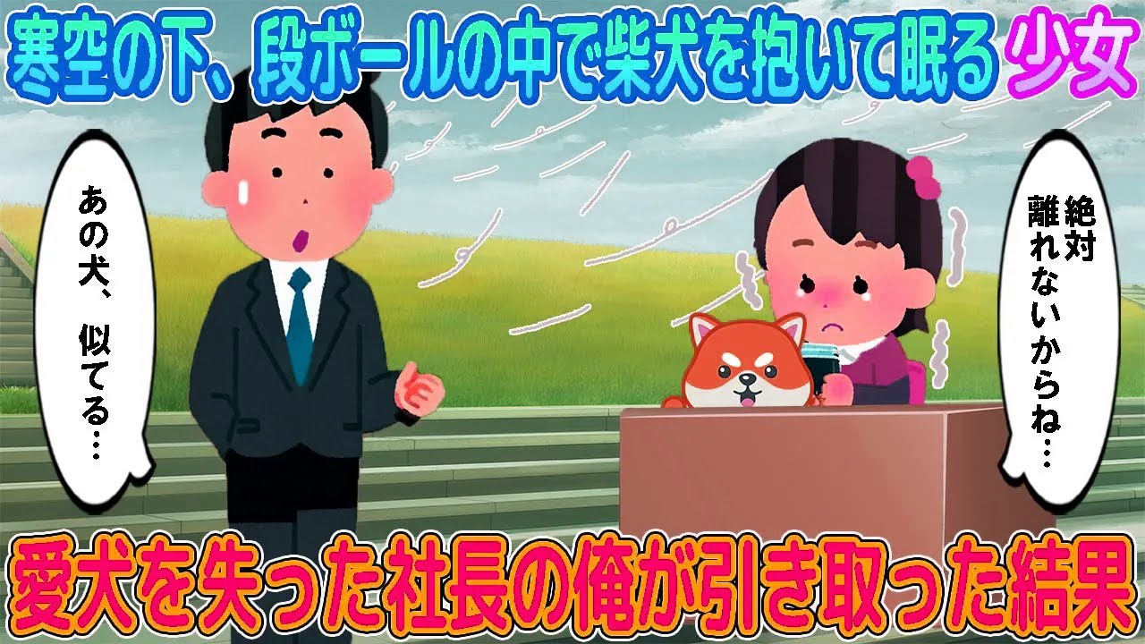 【2ch馴れ初め】寒空の下、段ボールの中で柴犬を抱いて眠る少女→愛犬を失った社長の俺が引き取った結果…【ゆっくり】