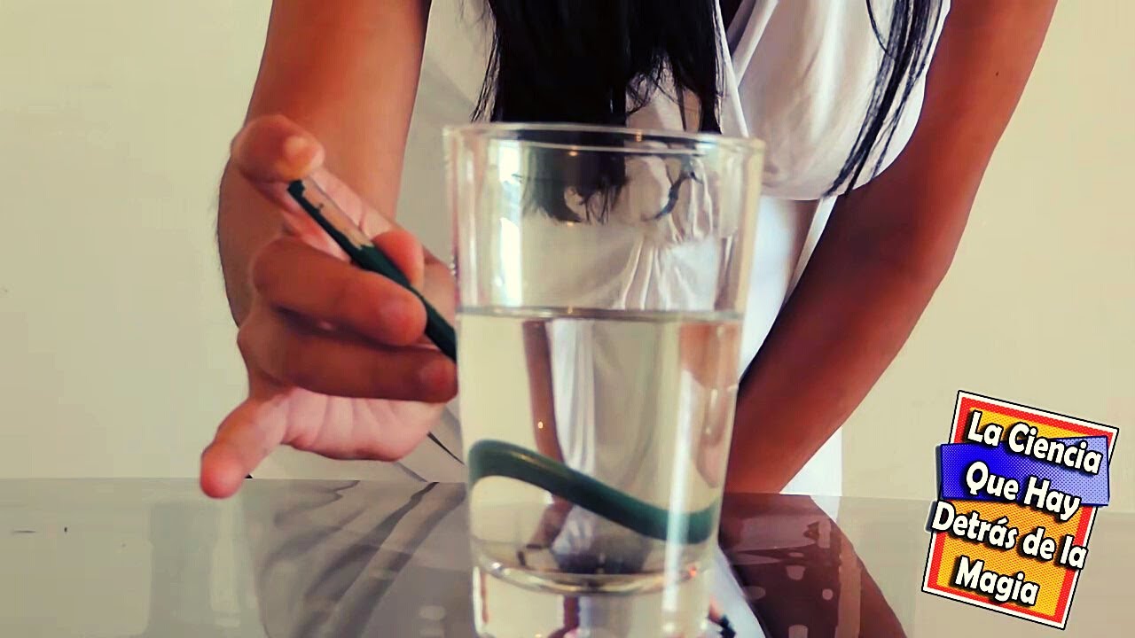 Experimento refracción de la luz: materiales y procedimiento