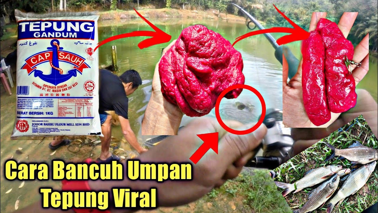 FULL Cara Buat Umpan Jitu Sesuai Untuk Ikan Air Tawar Kolam Dan Lombong Terbiar