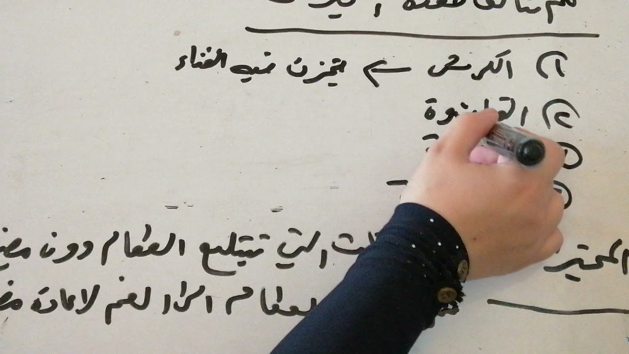 المحاضرة السابعة/للرابع العلمي/طرق تغذية الحيوانات