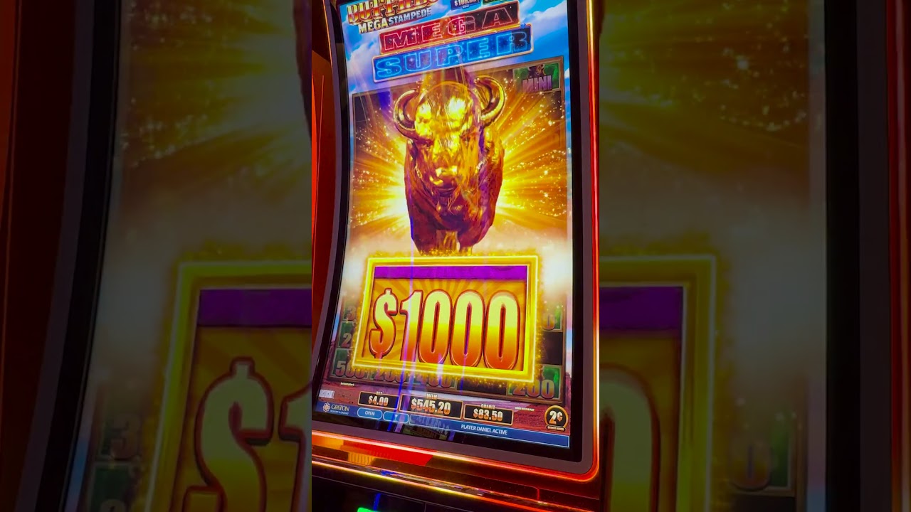 EXTRA BONUS IN THE BONUS PAYS HUGE