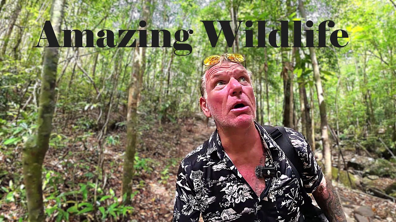 Waterfall Adventure 🇻🇳 Wildlife, Suối Tranh Jungle Trails & One of Phu Quoc’s Best Attractions?