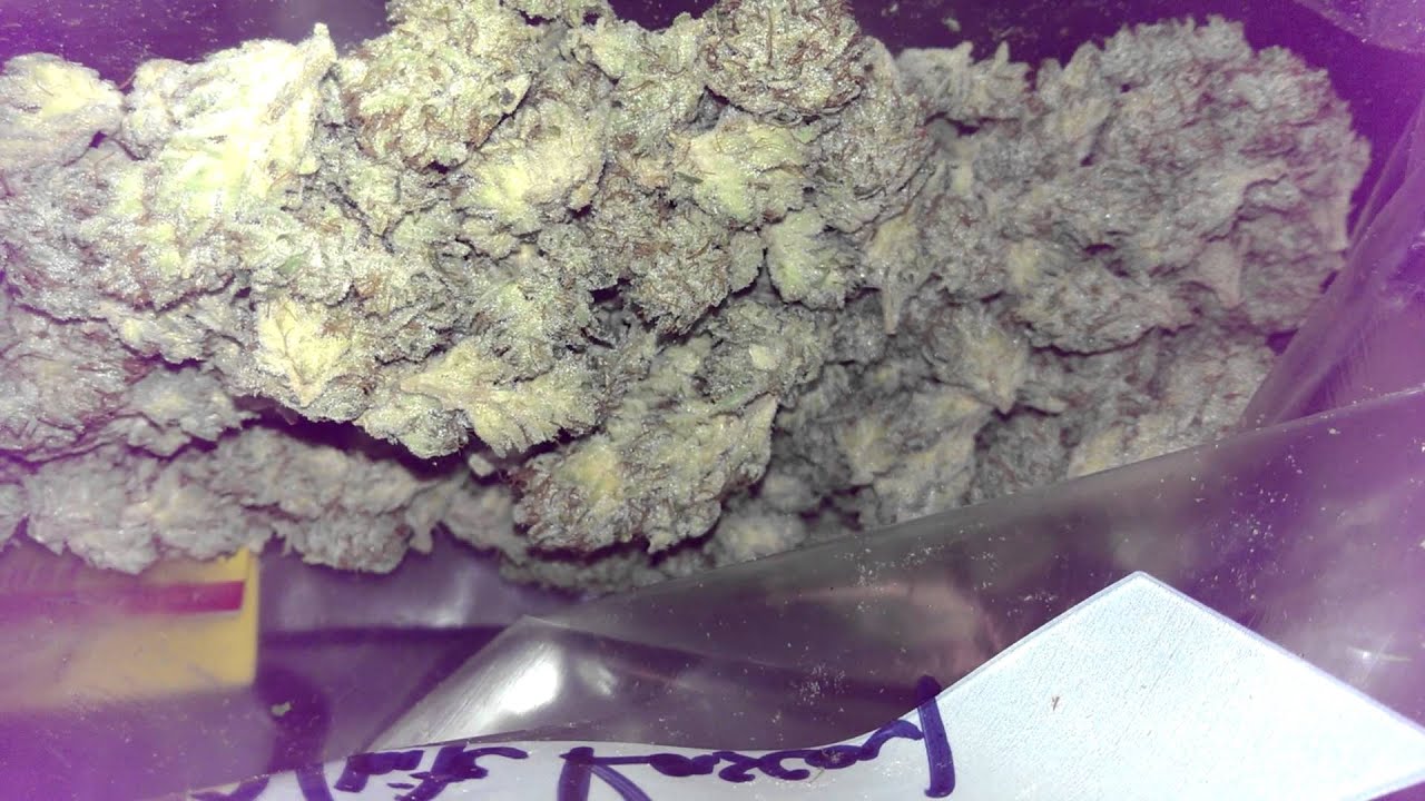 Topself nug run