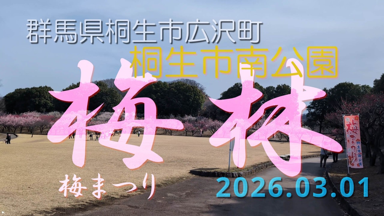 【VLOG】梅林《桐生市南公園》梅まつり 群馬県桐生市広沢町 2026.03.01