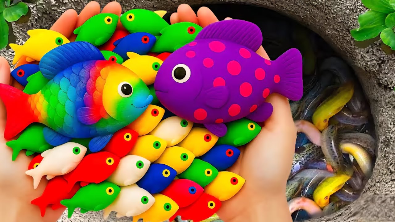 Catch beautiful aquarium fish in small pond baby turtles, eel, frog, pencil fish, guppies🐠