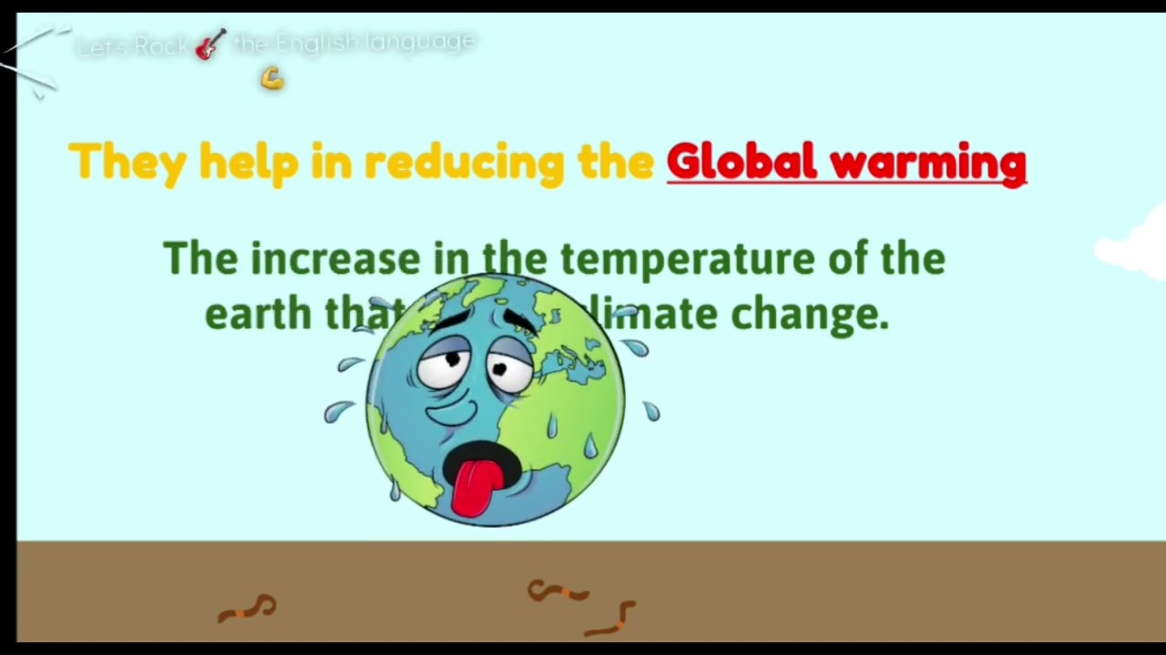 Connect Plus 5th primary unit 1 lesson 1 Ecosystem