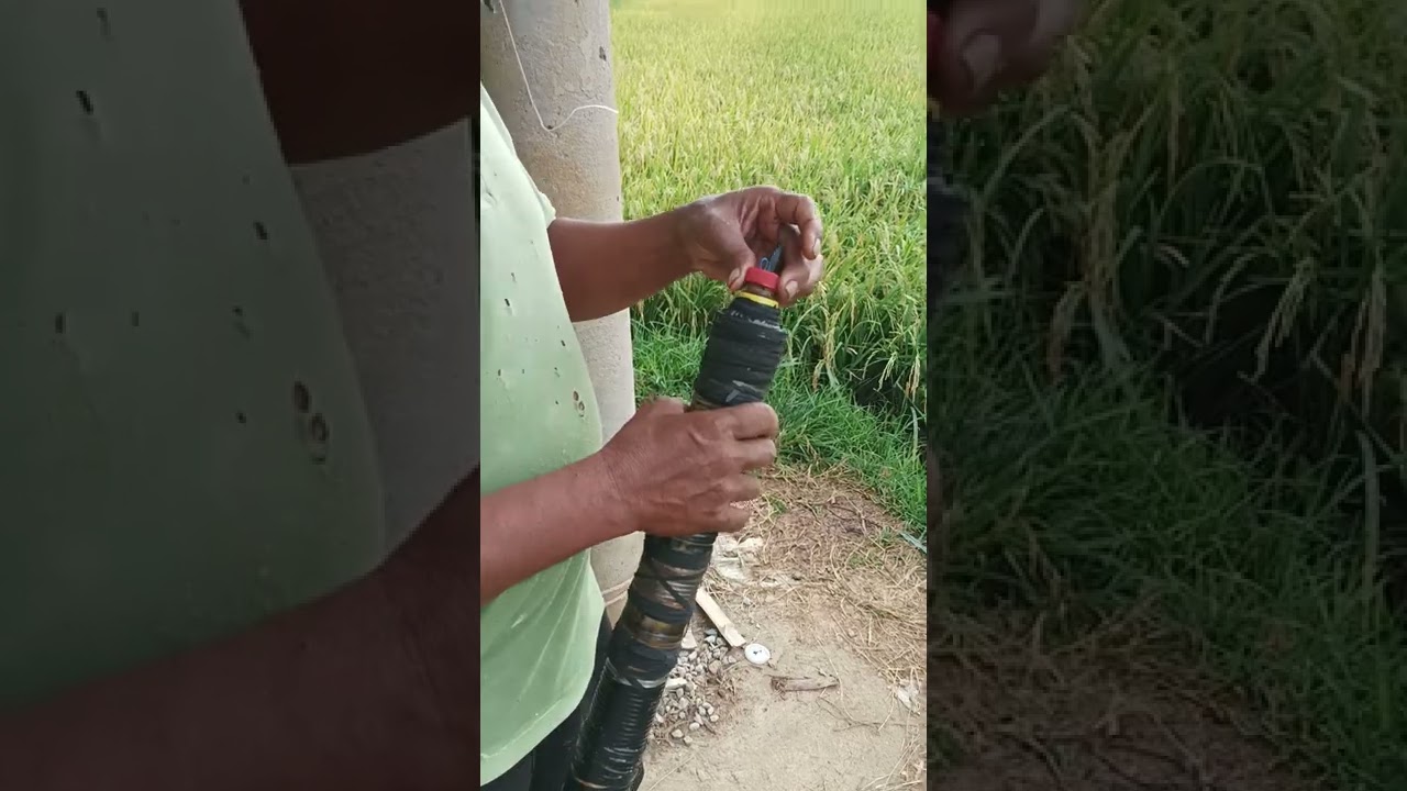 The Sounds That Scare The birds H.D.