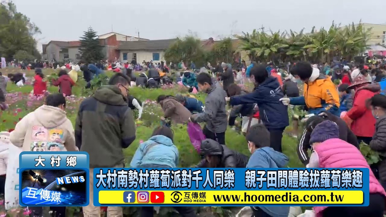大村南勢村蘿蔔派對千人同樂　親子田間體驗拔蘿蔔樂趣