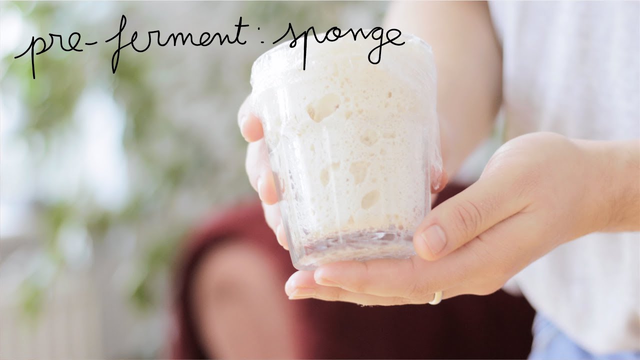 HOW TO: Pre-ferment Sponge | Prefermento Esponja