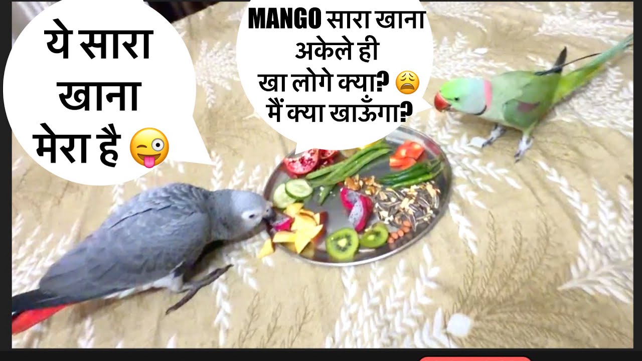मैंगो