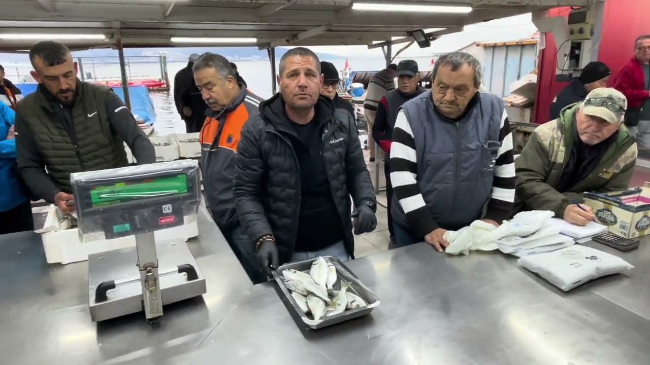 Dev kalamar uçurdu bu sabah mezatı 15.02.2024 #balık #mezat #kalamar