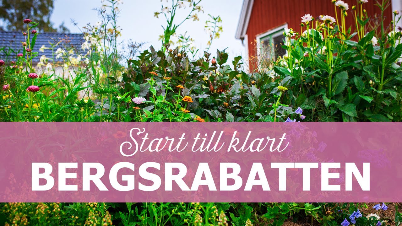 I min trädgård: Bergsrabatten - från start till klart