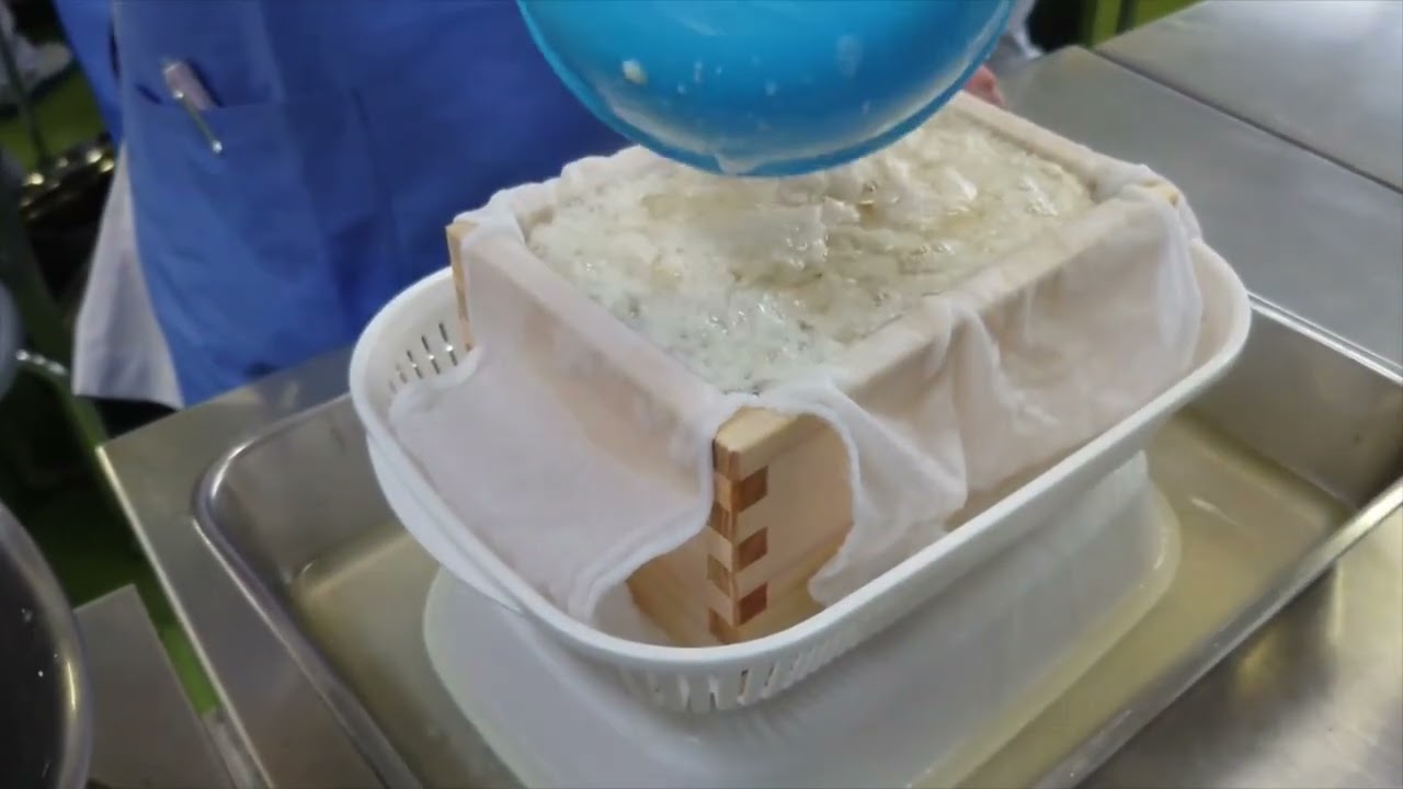 横浜栄養専門学校　令和６年度　２年生　食品加工学実習　『木綿豆腐』