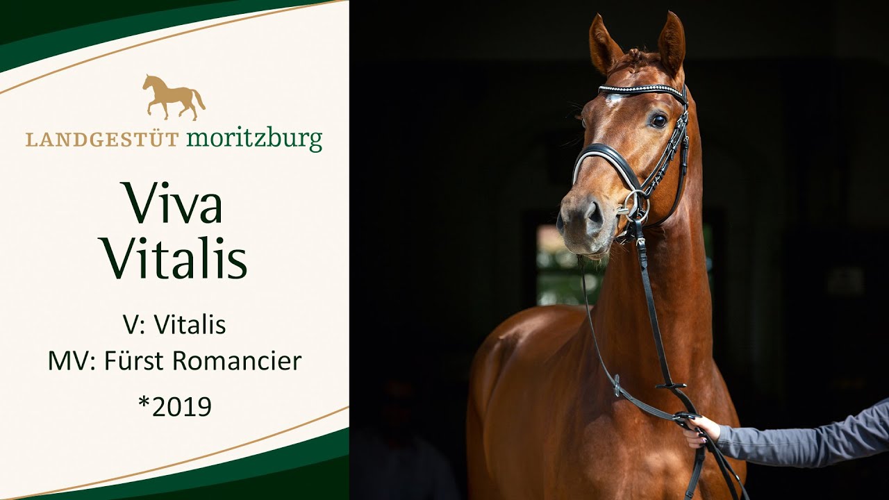 VIVA VITALIS v. Vitalis - Fürst Romancier 2023