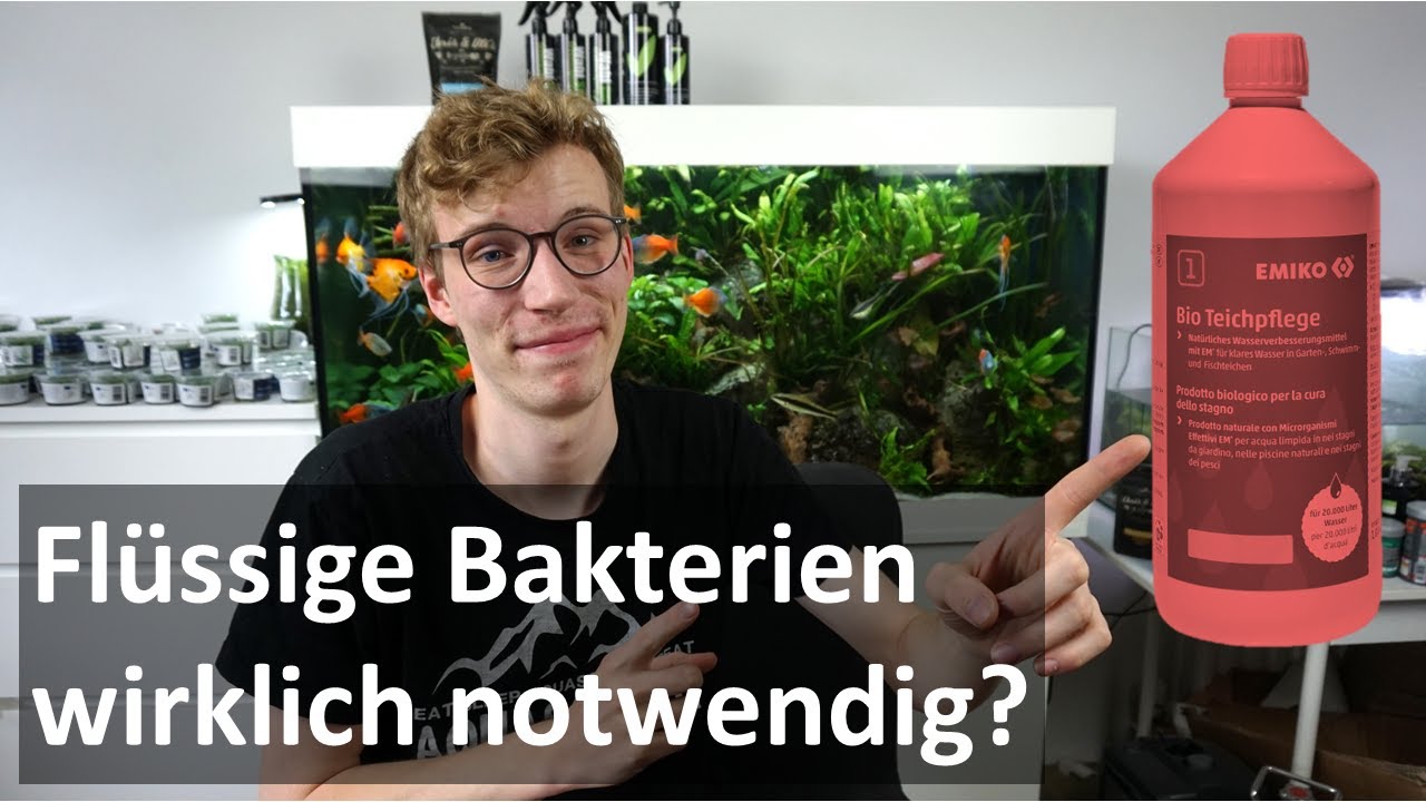 Flüssige Filterbakterien wirklich notwendig?