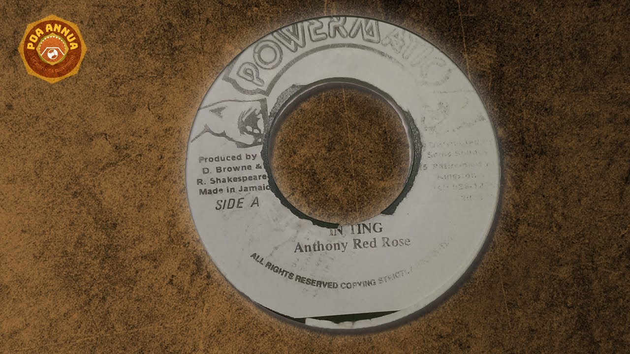 Anthony Red Rose - In Ting + Version 7