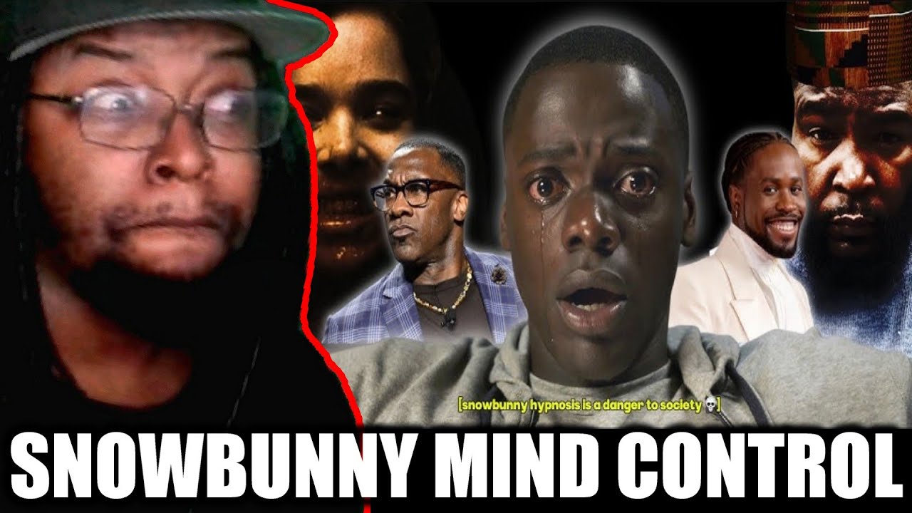 snowbunny mind control must be stopped. (Ft. Olawoolo) [Zephfire] DB Reaction