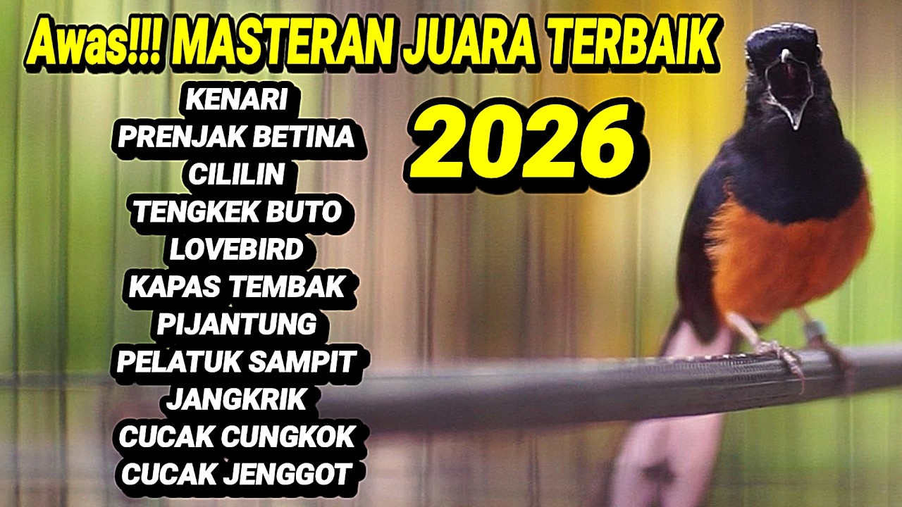 MASTERAN MURAI BATU TEMBAKAN MEWAH BONGKAR ISIAN LOMBA TERBAIK SEPANJANG MASA 100% AMPUH