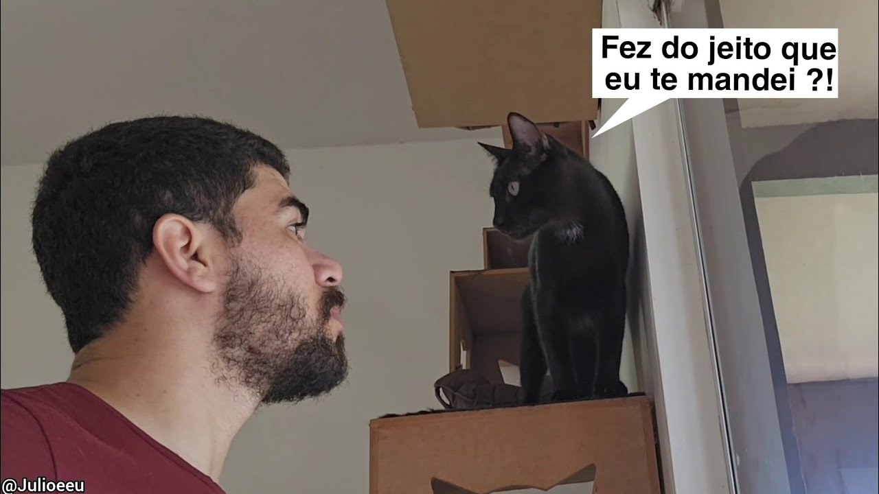 Pra mim foi uma oportunidade, pro Júlio foi um plano  kkkkkkkkkk   #Vlog