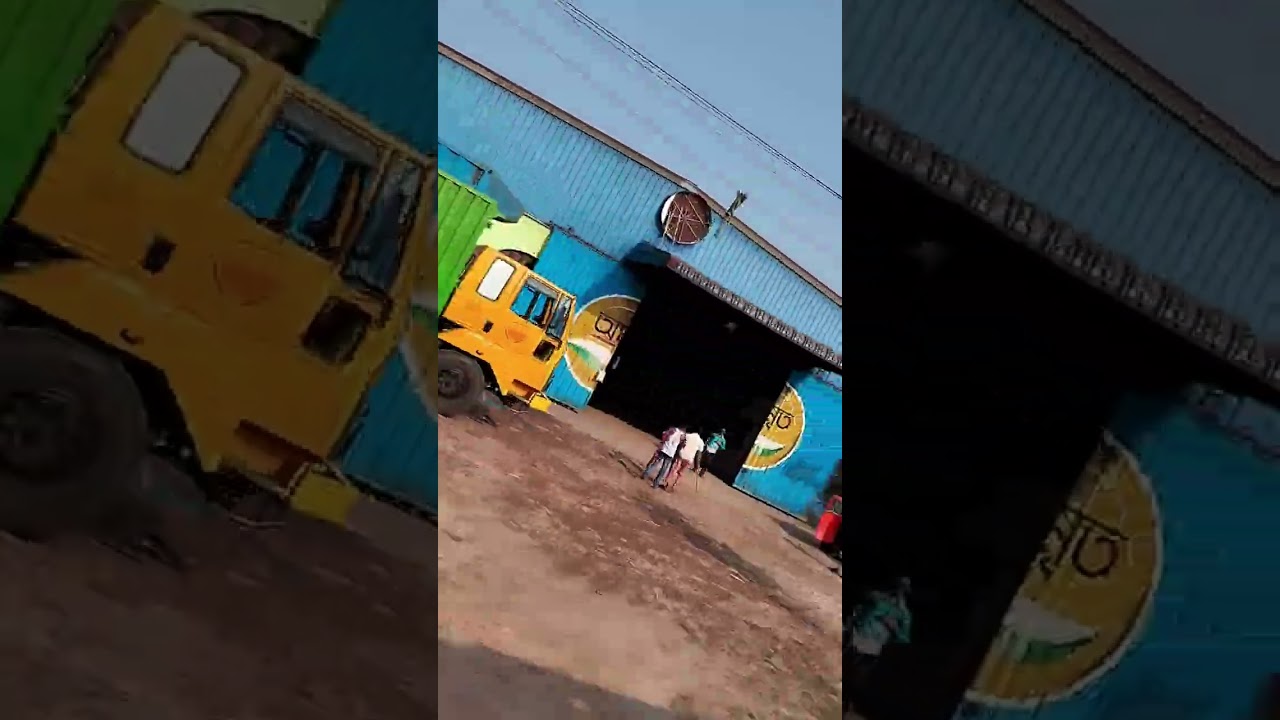 প্রকৃতি যখন নিঃশব্দে কথা বলে। পাতার কাঁপুনিতে লুকিয়ে থাকে গল্প। #video #viral #viralvideo #nature 