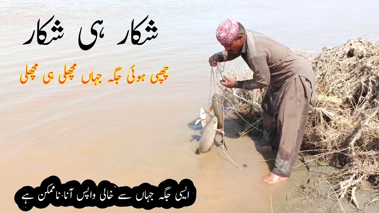 “River Fishing Adventure | دریا میں شاندار فشنگ اور زبردست شکار”