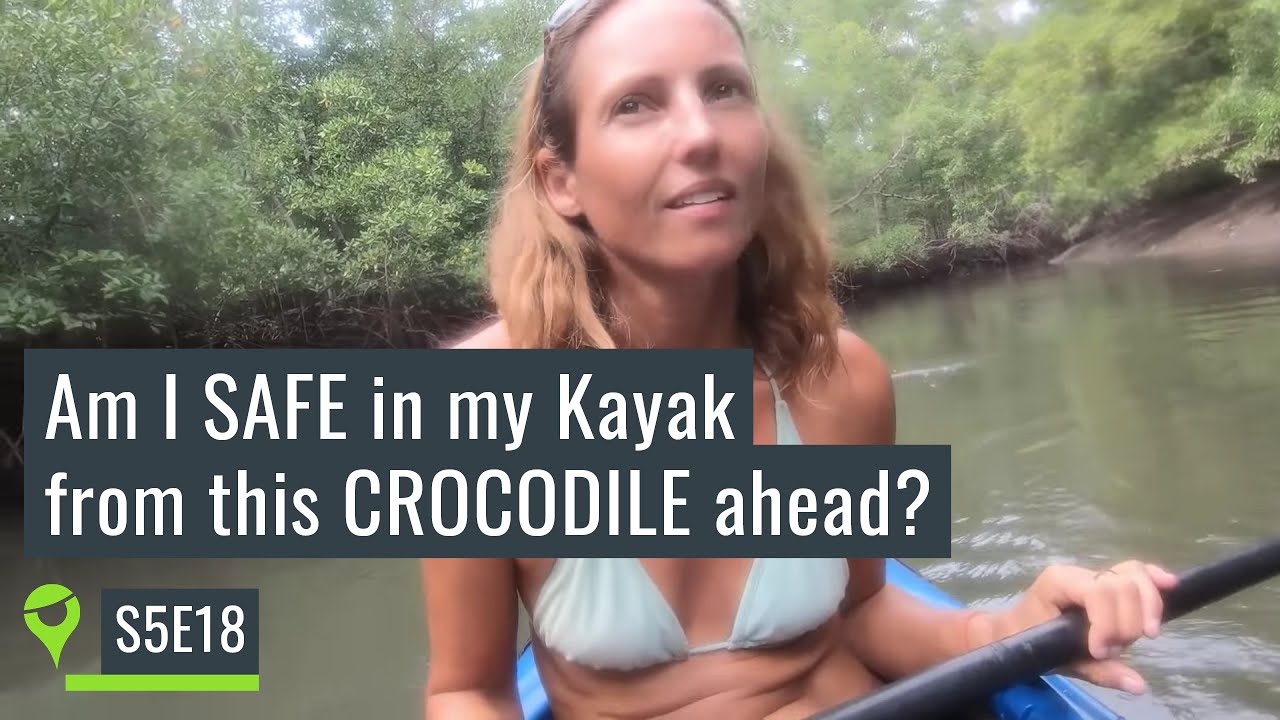 Solo adventures can be scary 😬 Meeting a crocodile kayaking up the river Cacique - UNTIE THE LINES