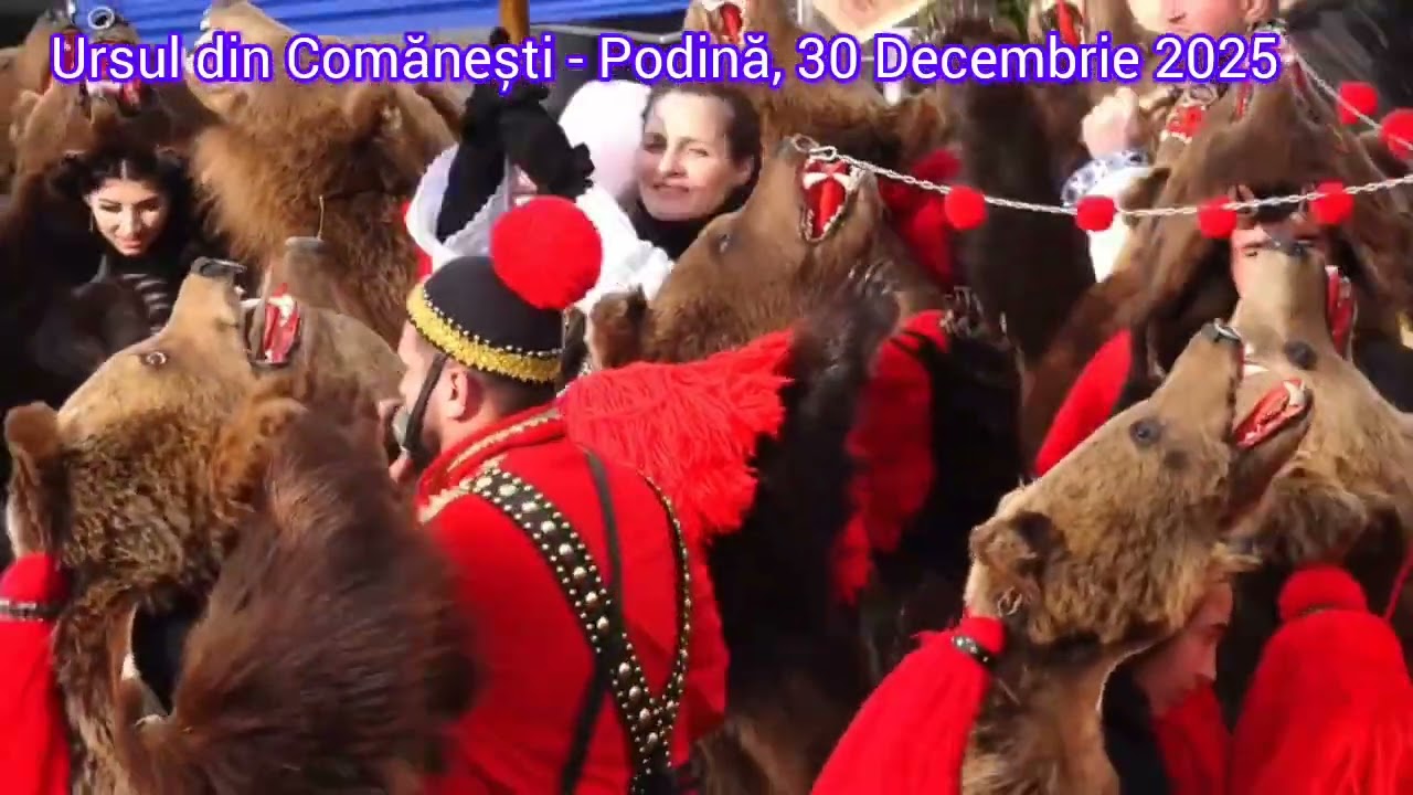 Ursul din Comănești - Podină 30 Decembrie 2025