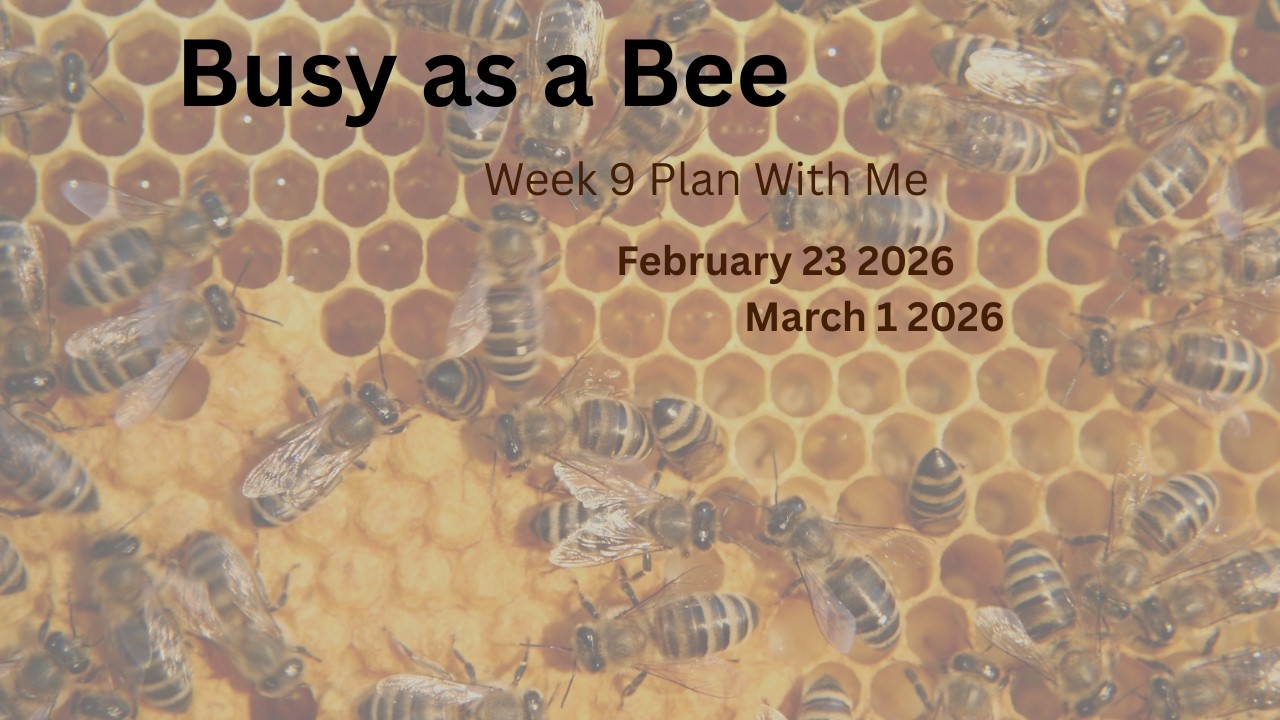 Plan With Me| Week 9