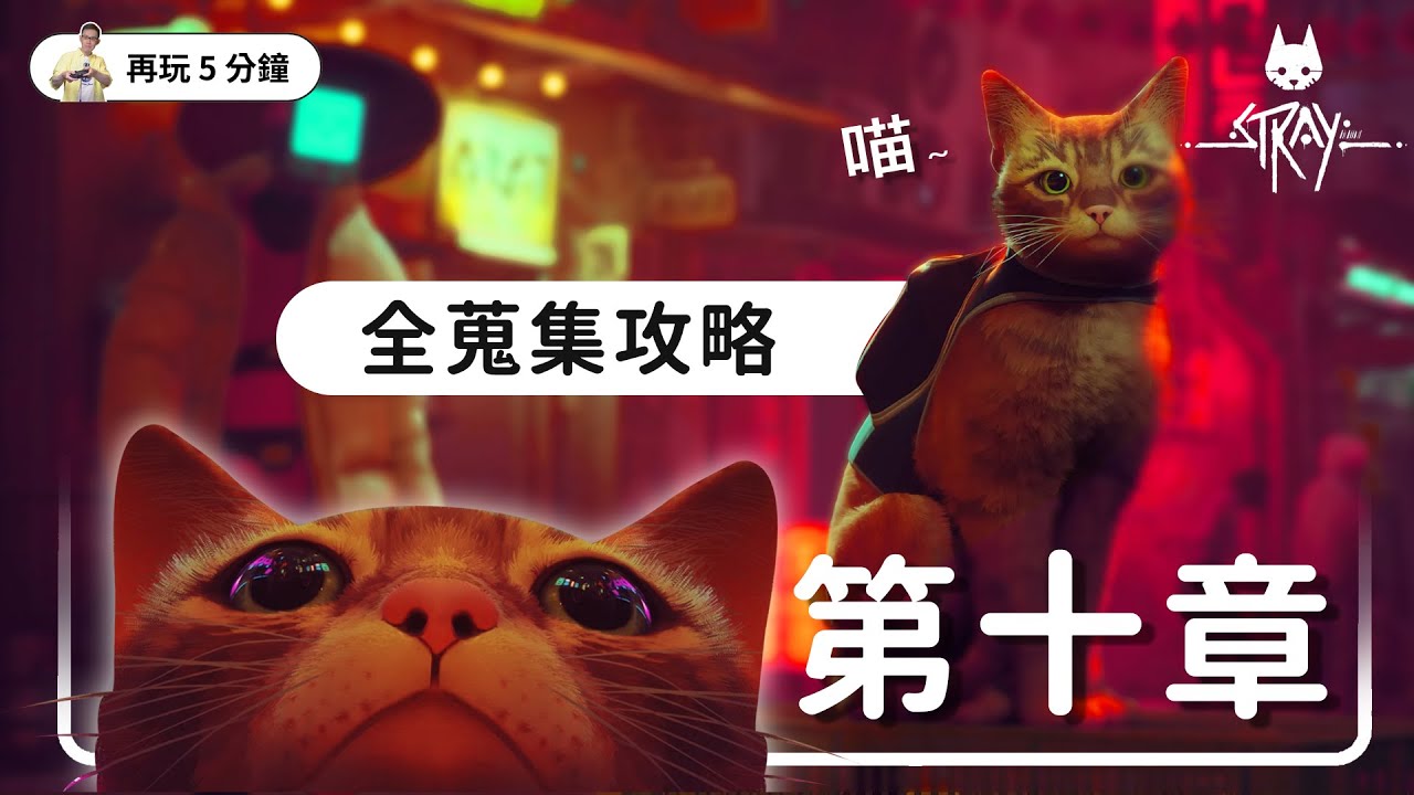 《Stray 浪貓》第十章：中城 主線流程、回想記憶、徽章，全蒐集攻略