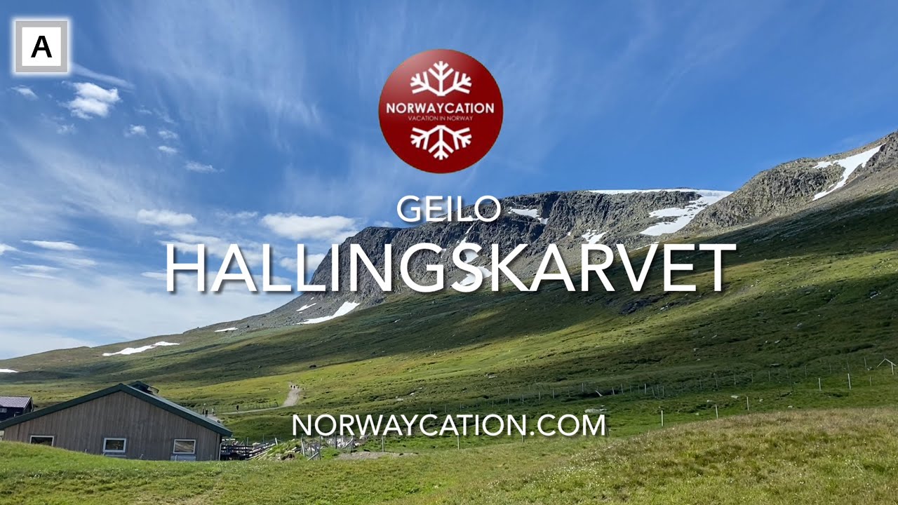 Hallingskarvet & Prestholtrunden Hike, Geilo | Norwaycation.com - Vacation in Norway
