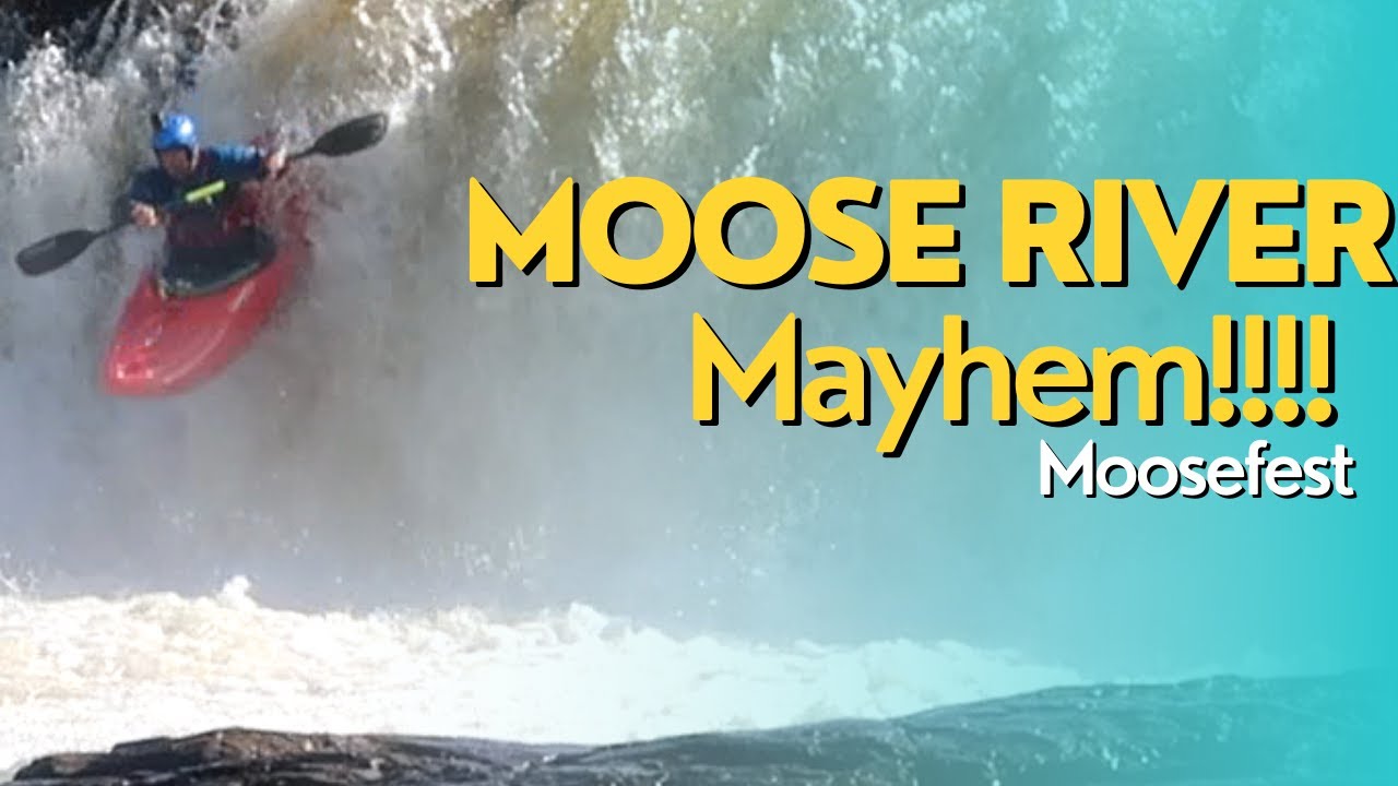 Moosefest: Kayaking the Moose River for a Weekend You'll Never Forget!