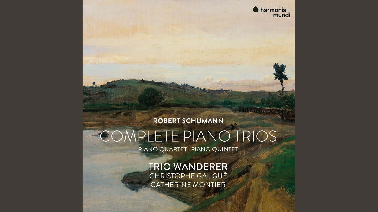Piano Trio No. 1 in D Minor, Op. 63: I. Mit Energie und Leidenschaft