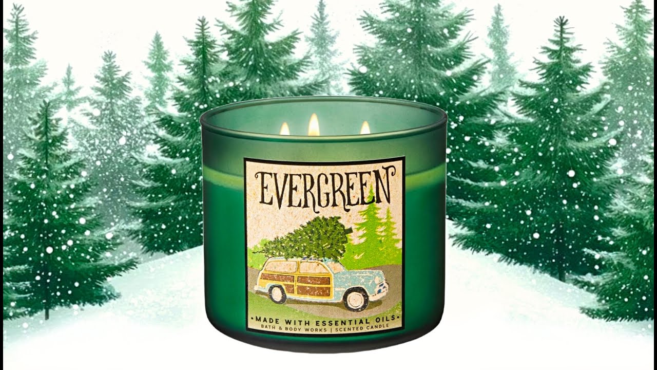 Bath & Body Works: 🌲Evergreen 🌲 Из хранилища #10 ~2025~