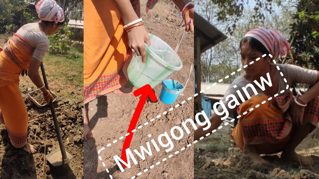 Mwigon gaibai agha lwgwpwr 