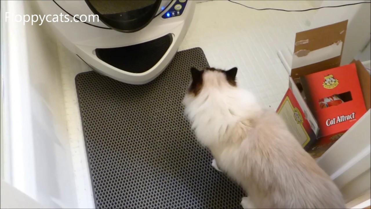 Best Litter Tracking Mat: WooPet! Jumbo Cat Litter Mat Product Review
