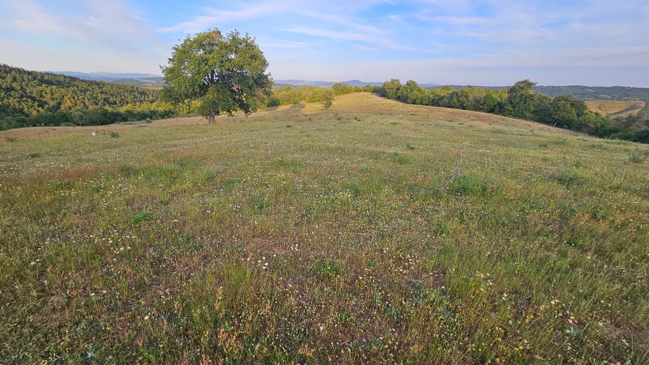 Satılık tarla 25800 m2