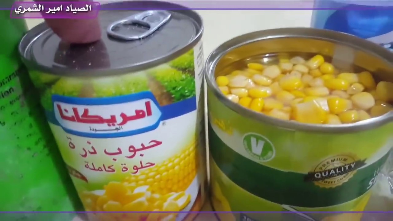 العجينه السحريه لصيد سمك الكارب #الصياد_امير_الشمري