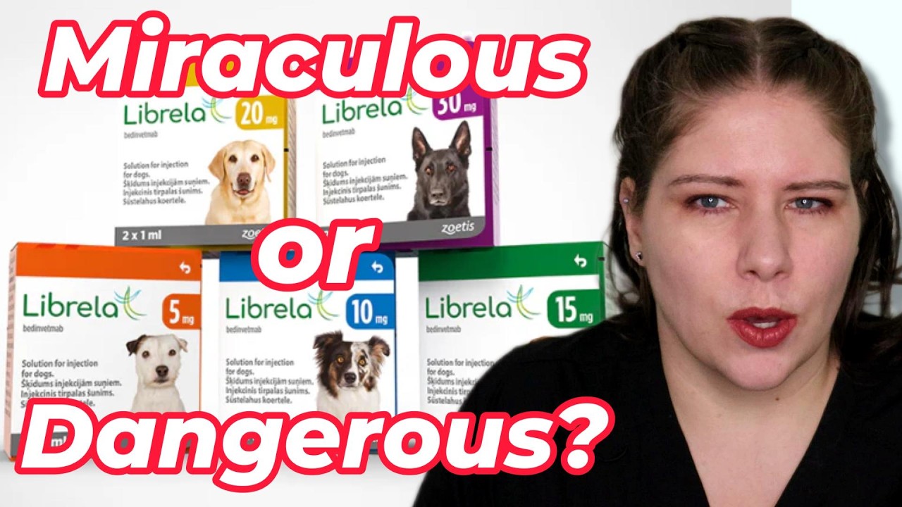 Is Librela a Good Idea For Your Dog? A Vet Explains