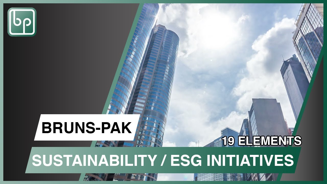Environmental, Social, and Governance Initiatives | BRUNS-PAK