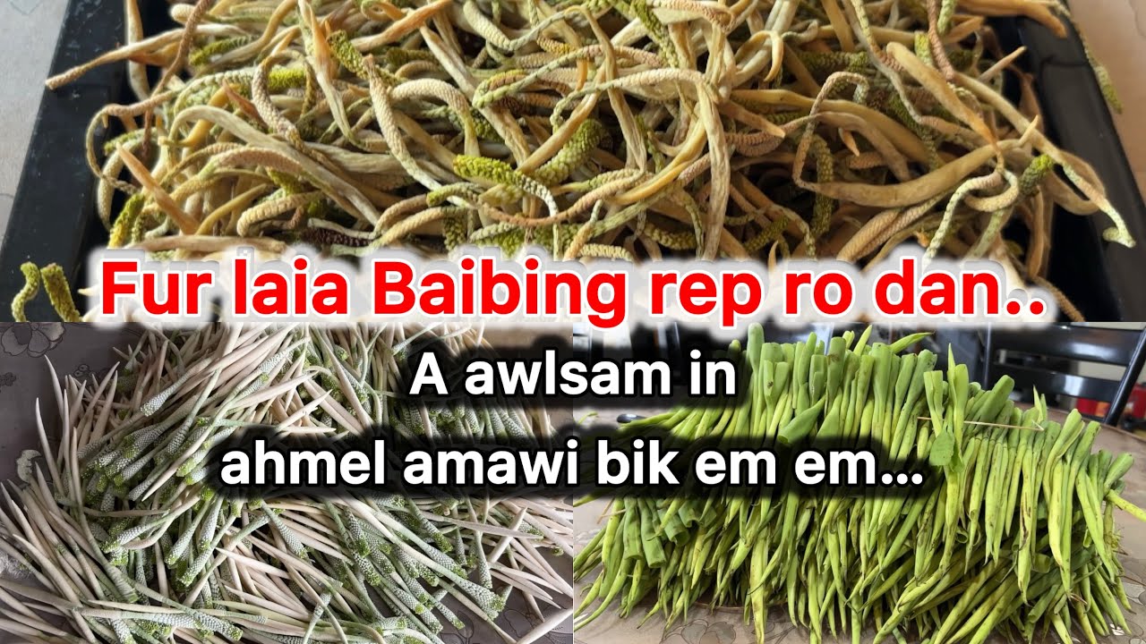 Awlsam taka Baibing rep/dahthat dan🤗Ahmel amawi bik in achhe ve mai mai theilo.
