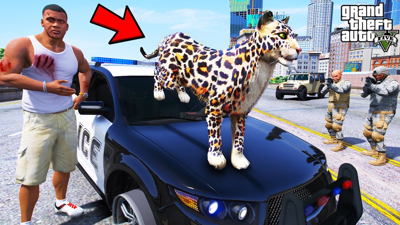 Franklin Trying to Catch a Hungry Cheetah in GTA 5 | SHINCHAN and CHOP