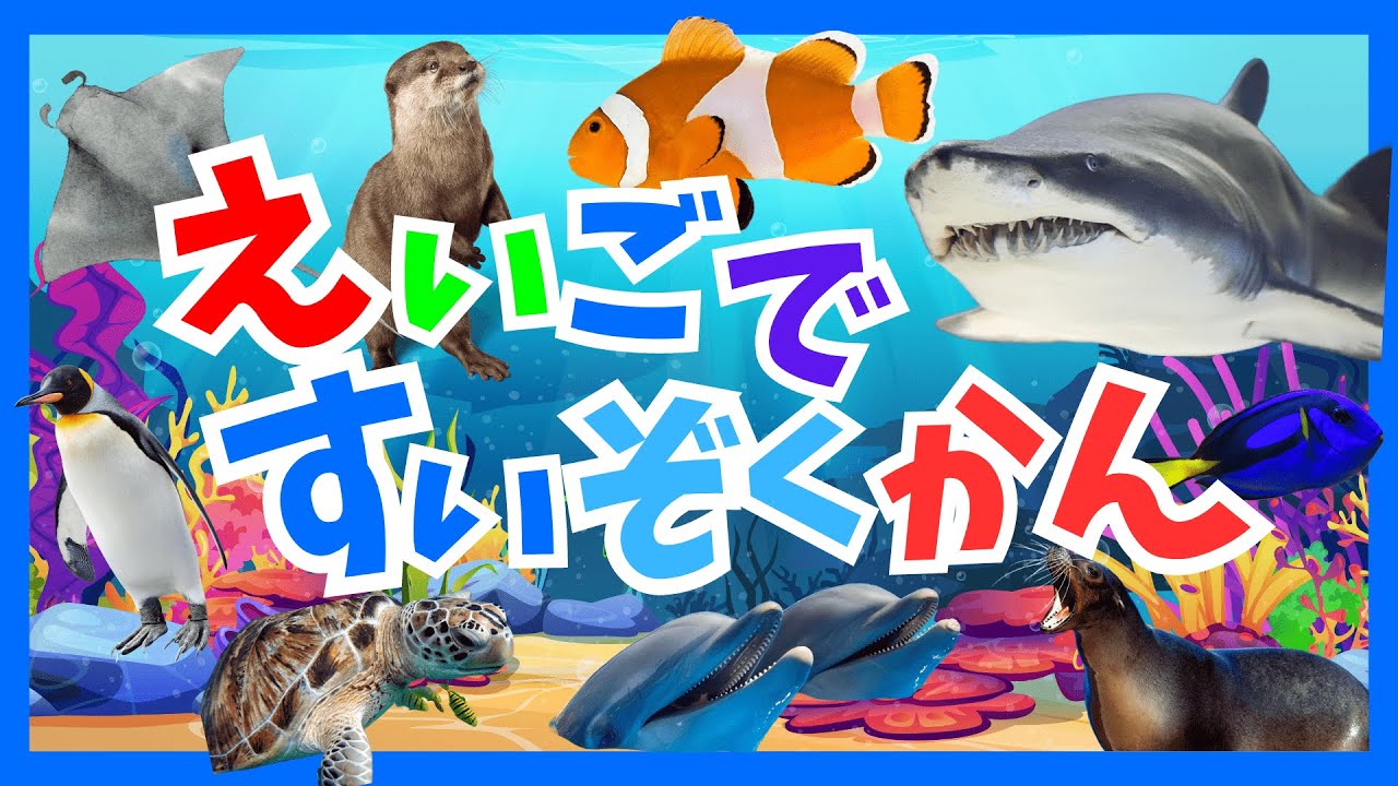 【水族館】えいごですいぞくかん｜子供向け｜英会話｜