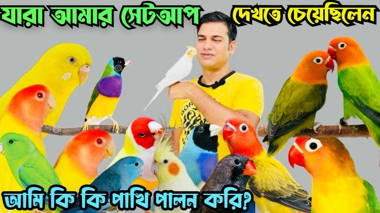 প্রথম বারের মতো আমার নিজের সেটআপের আপডেট | Update on my own bird setup @MurshedPets  #viralvideo