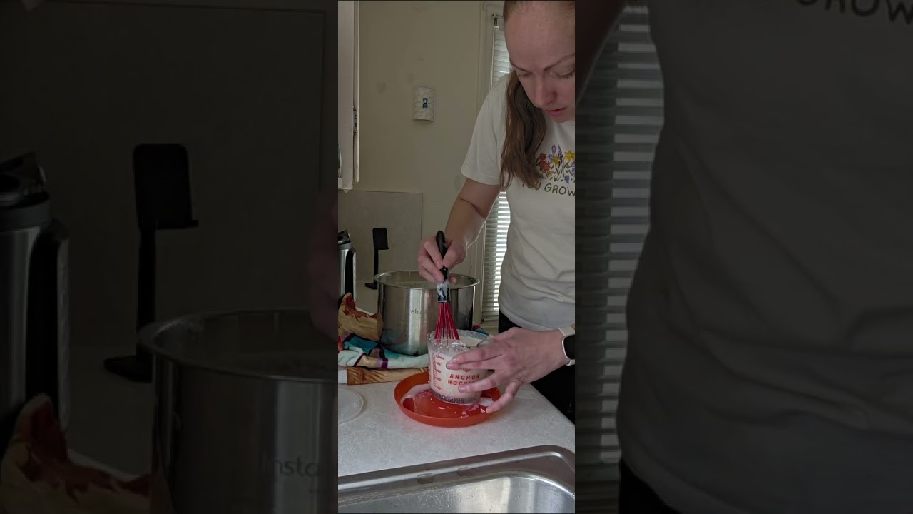 Homemade Yogurt Process 