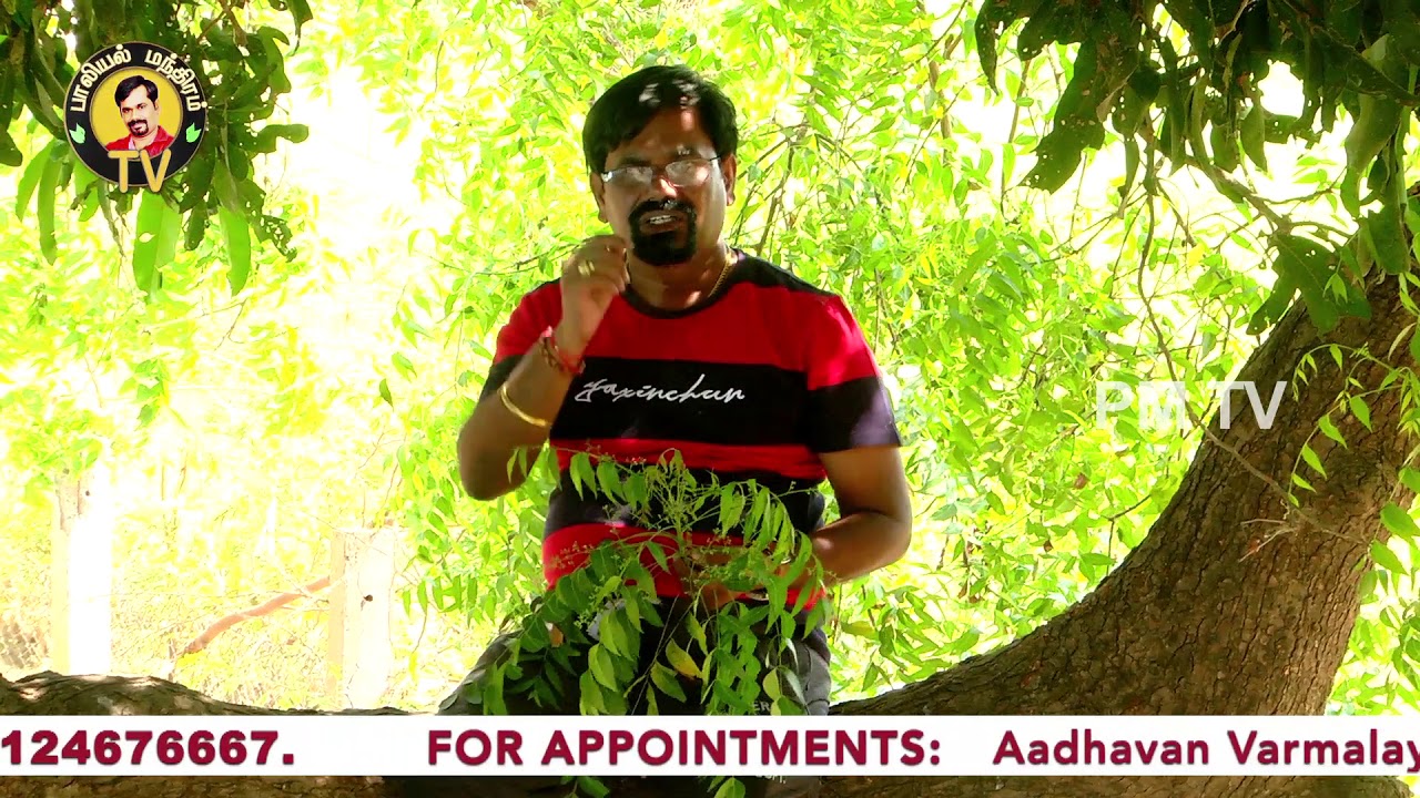 அனைத்து பாகங்களும் பயன் தரக்கூடிய வேம்பின் மருத்துவ குணங்கள் | வேப்ப எண்ணெய் & பட்டை | PM TV
