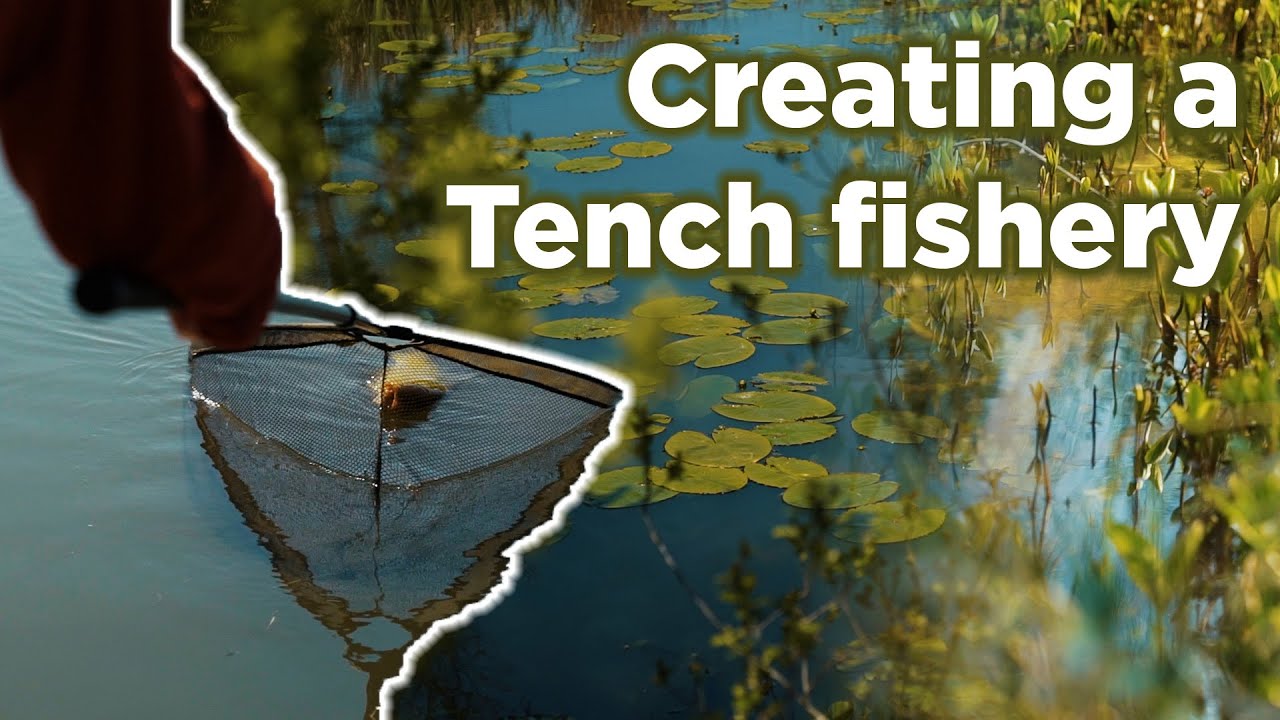 How Steve & John Dawe created a Tench fishery