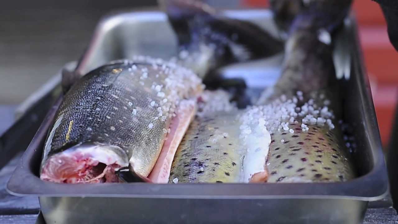 SV-1 Grillet ørred med Kasper og Jonas.
