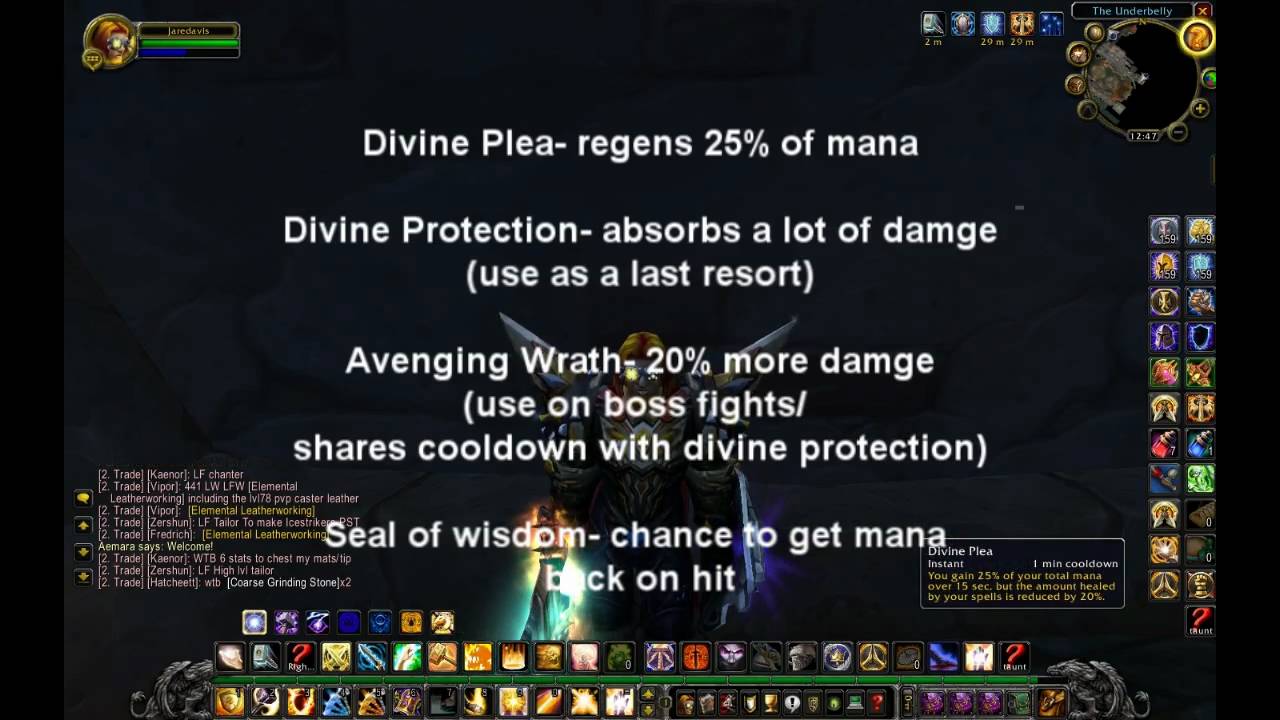 wow paladin tanking guide