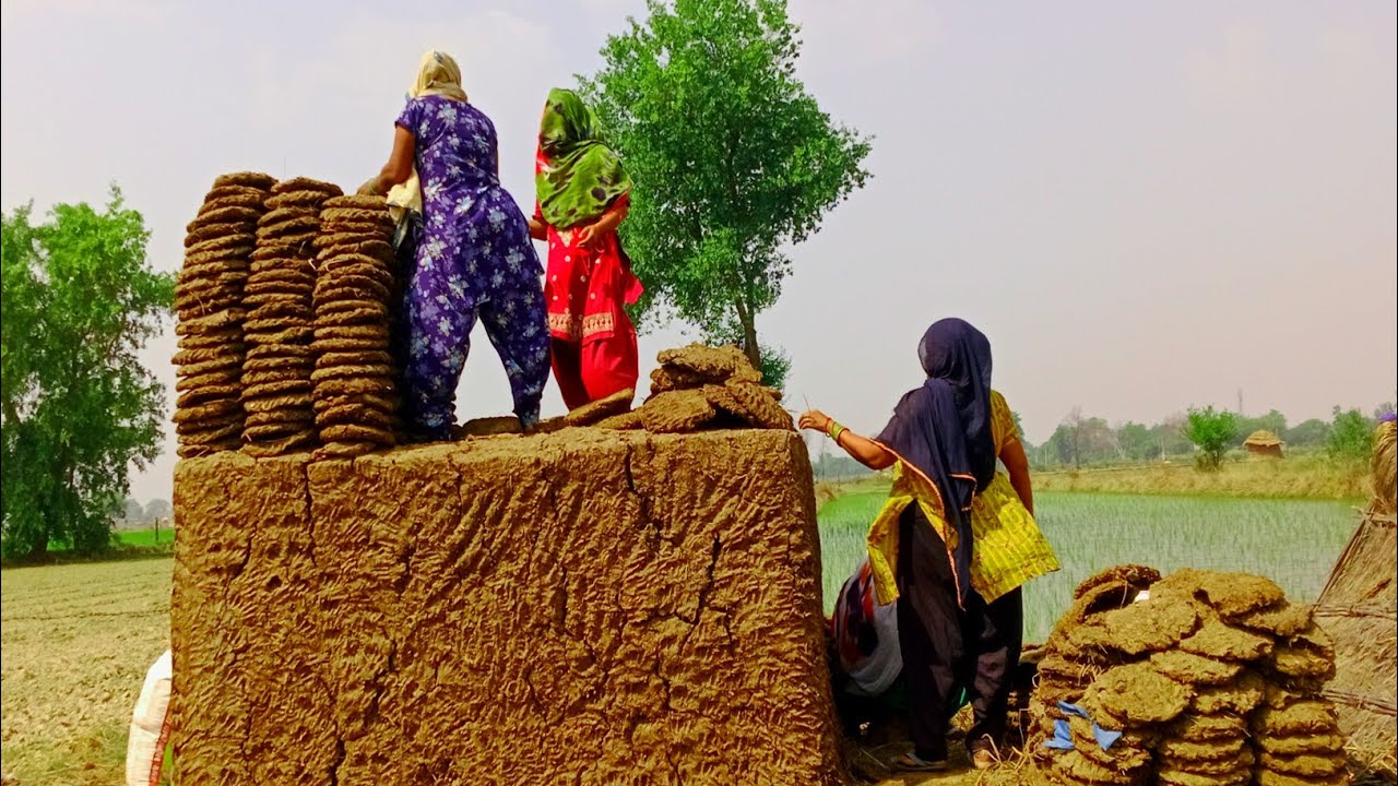 गांव में बिटोडा कैसे रखते हैं ll village lifestyle in up  ll rural lifestyle #jagvir village life